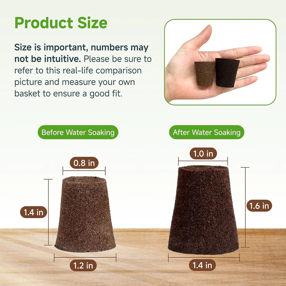 20 Hydroponic Growing Sponges, Seed Starter Boxes for Quick Root