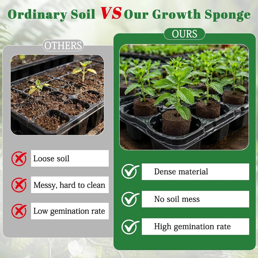 20 Hydroponic Growing Sponges, Seed Starter Boxes for Quick Root