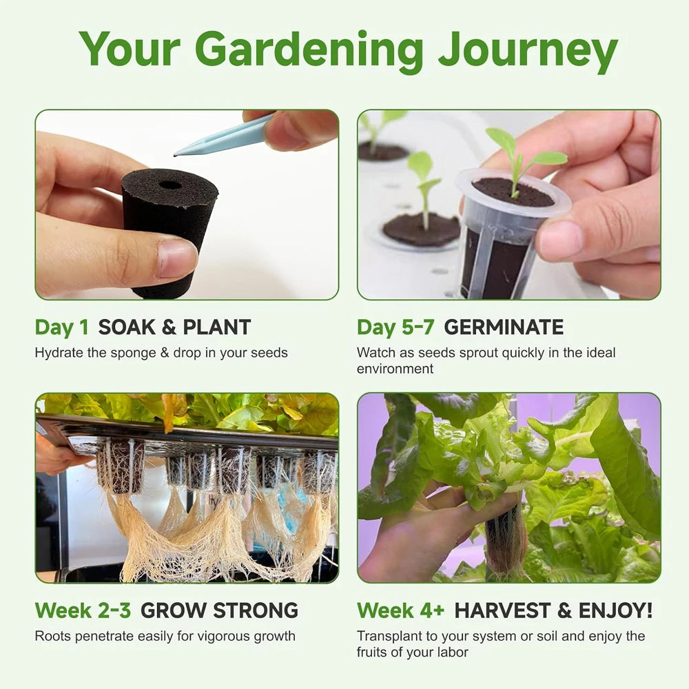 20 Hydroponic Growing Sponges, Seed Starter Boxes for Quick Root
