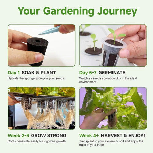 20 Hydroponic Growing Sponges, Seed Starter Boxes for Quick Root