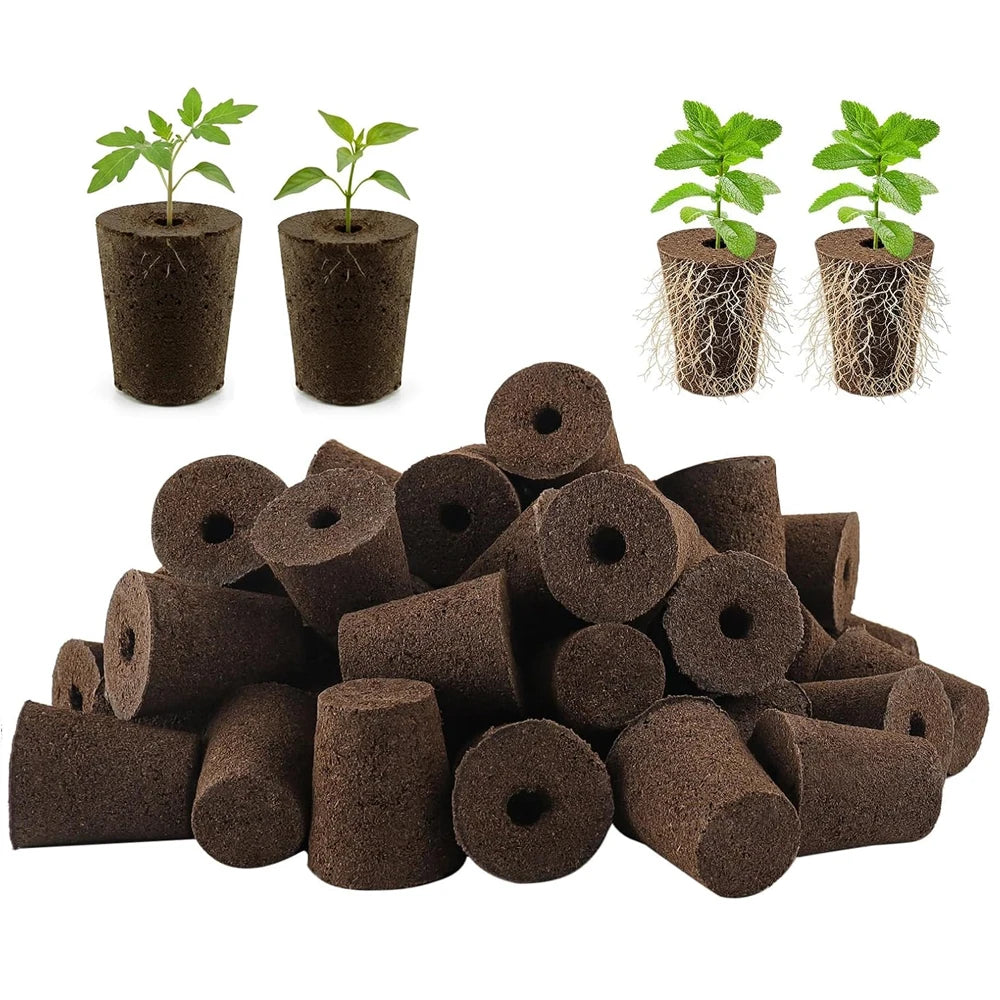 20 Hydroponic Growing Sponges, Seed Starter Boxes for Quick Root