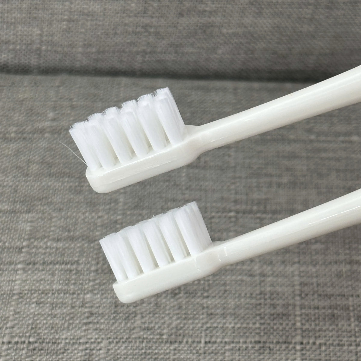 Anime Girls Lumi Mila Zoi Witch Hunter Toothbrush Ultra Soft Fine