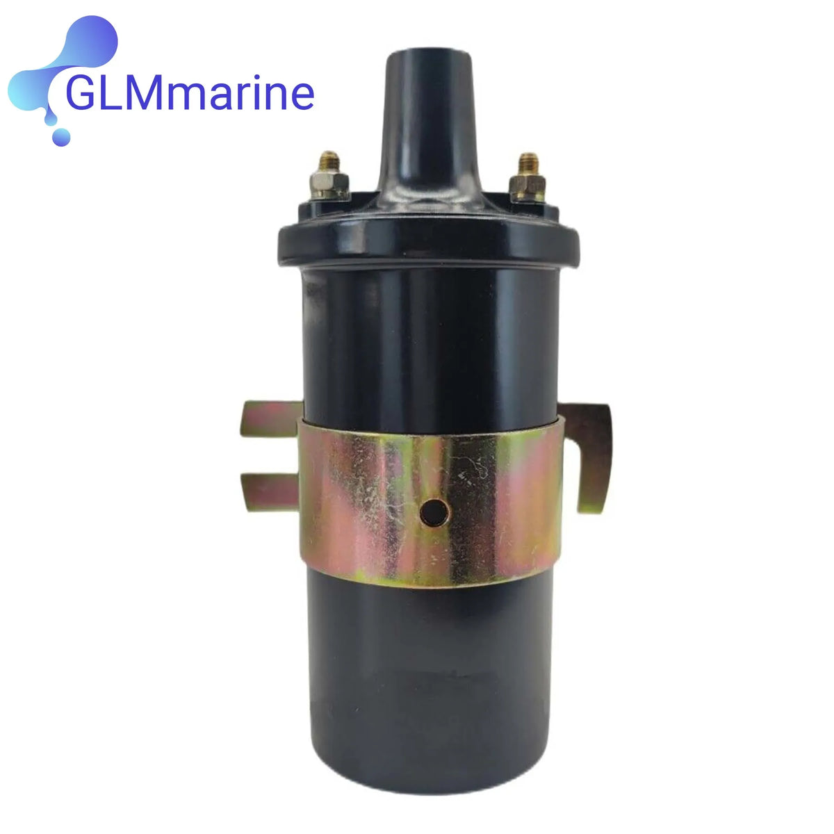 Ignition Coil 300-8M0079202 for MerCruiser Thunderbolt IV & V V6 V8