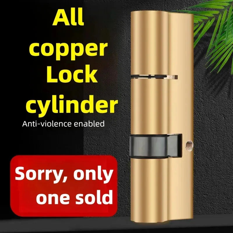 Door Cylinder Biased Lock 65 70 80 90 100mm Cylinder AB Key Anti-Theft