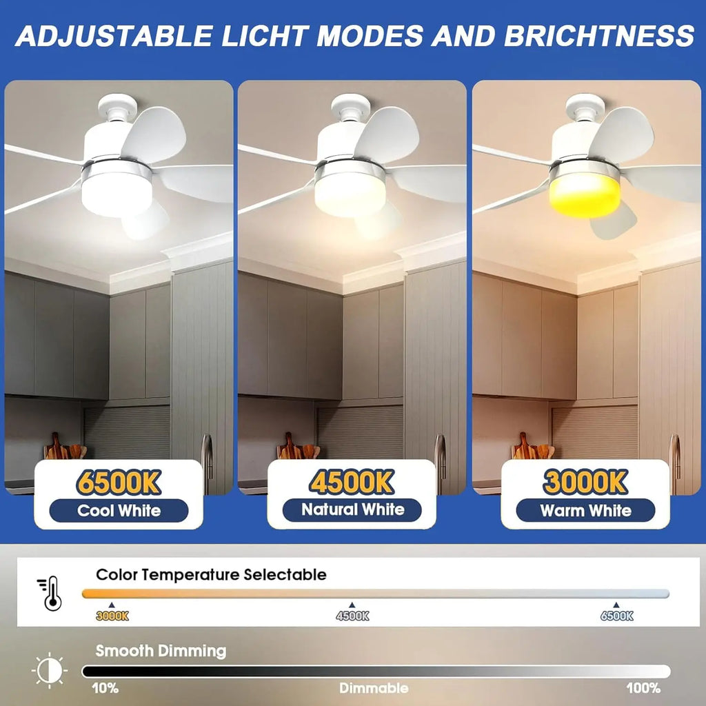 Socket Fan Light with Remote, Small Ceiling Fan with LED, E26/E27+B22