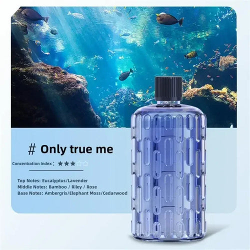 5 Gear Aroma Diffuser Fragrance Essential Oil Aromatherapy Machine