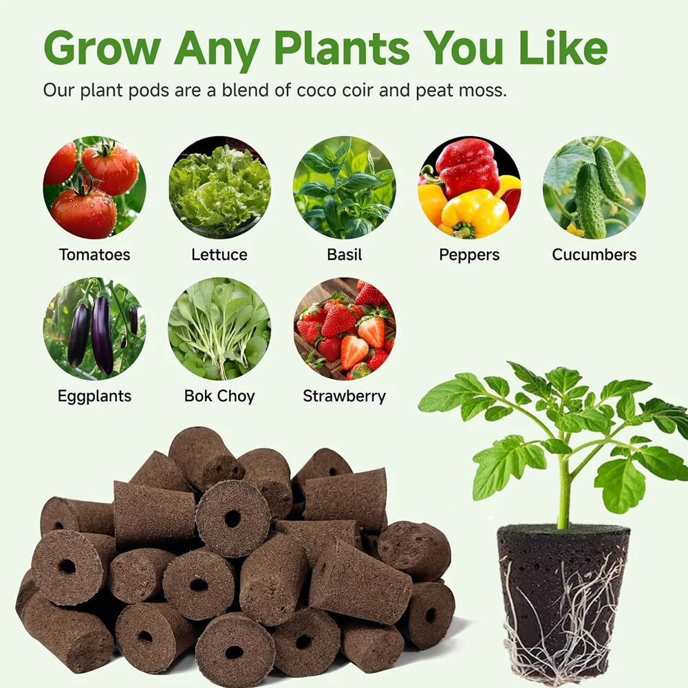 20 Hydroponic Growing Sponges, Seed Starter Boxes for Quick Root